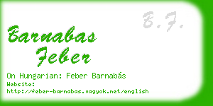 barnabas feber business card